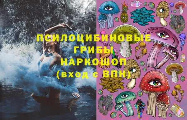 jwh Богородицк